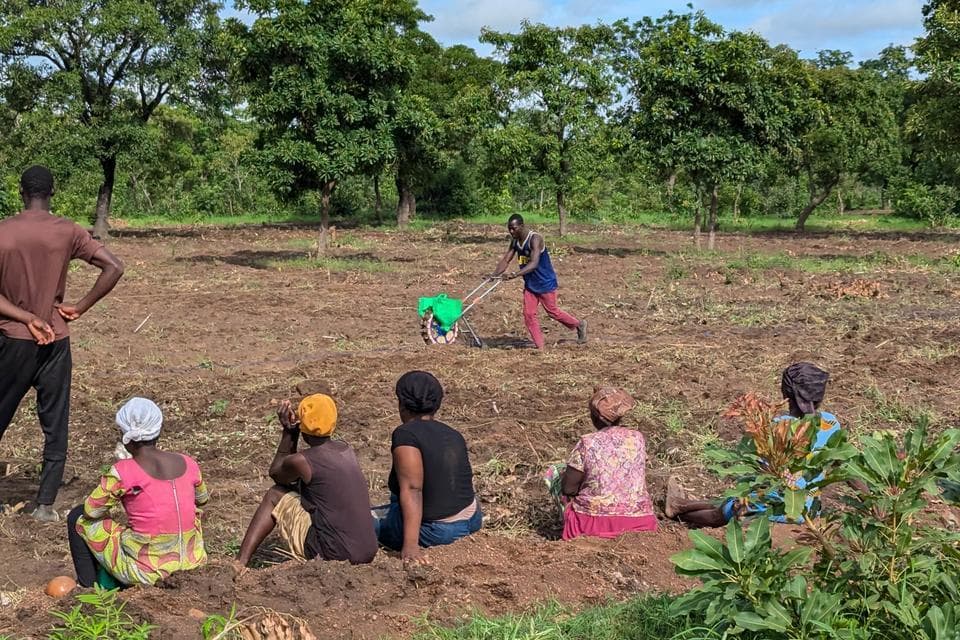 Farm Establishment & Consultancy