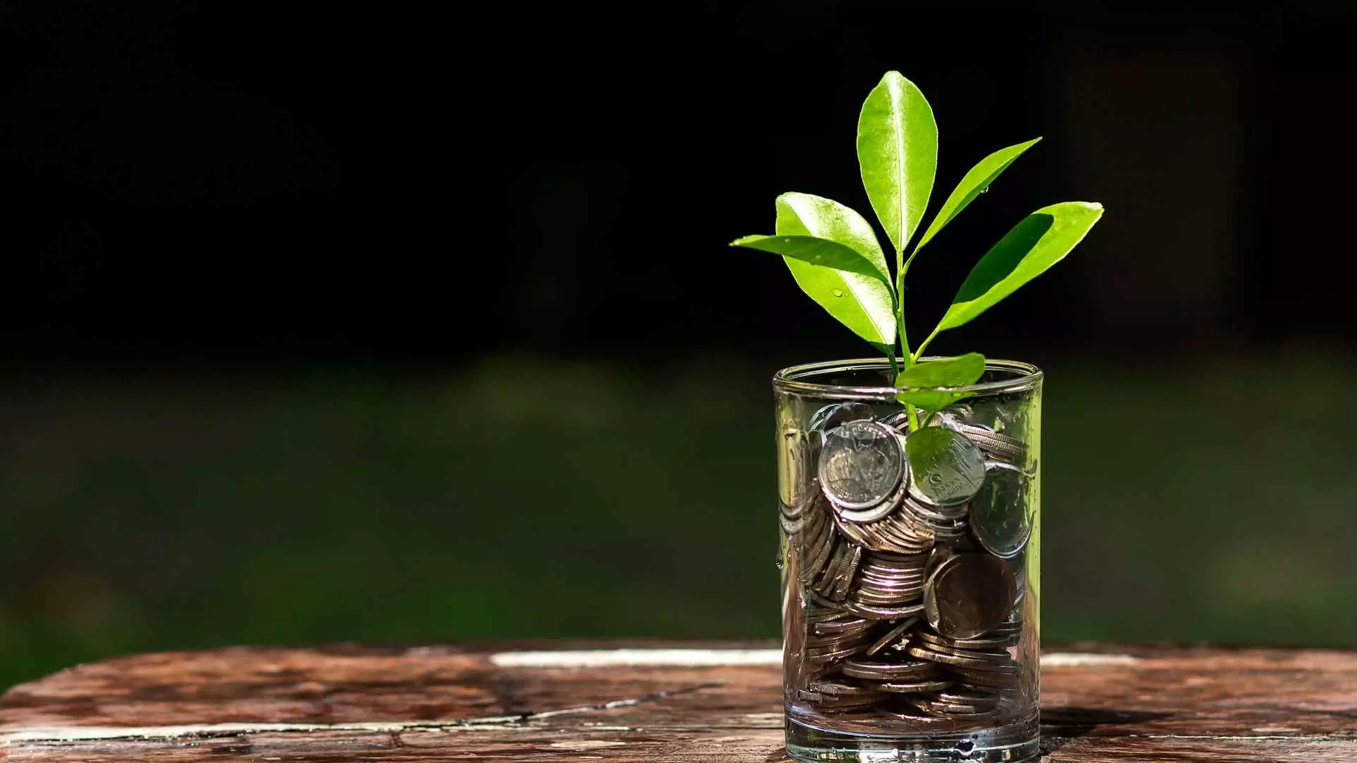 Farm Investment