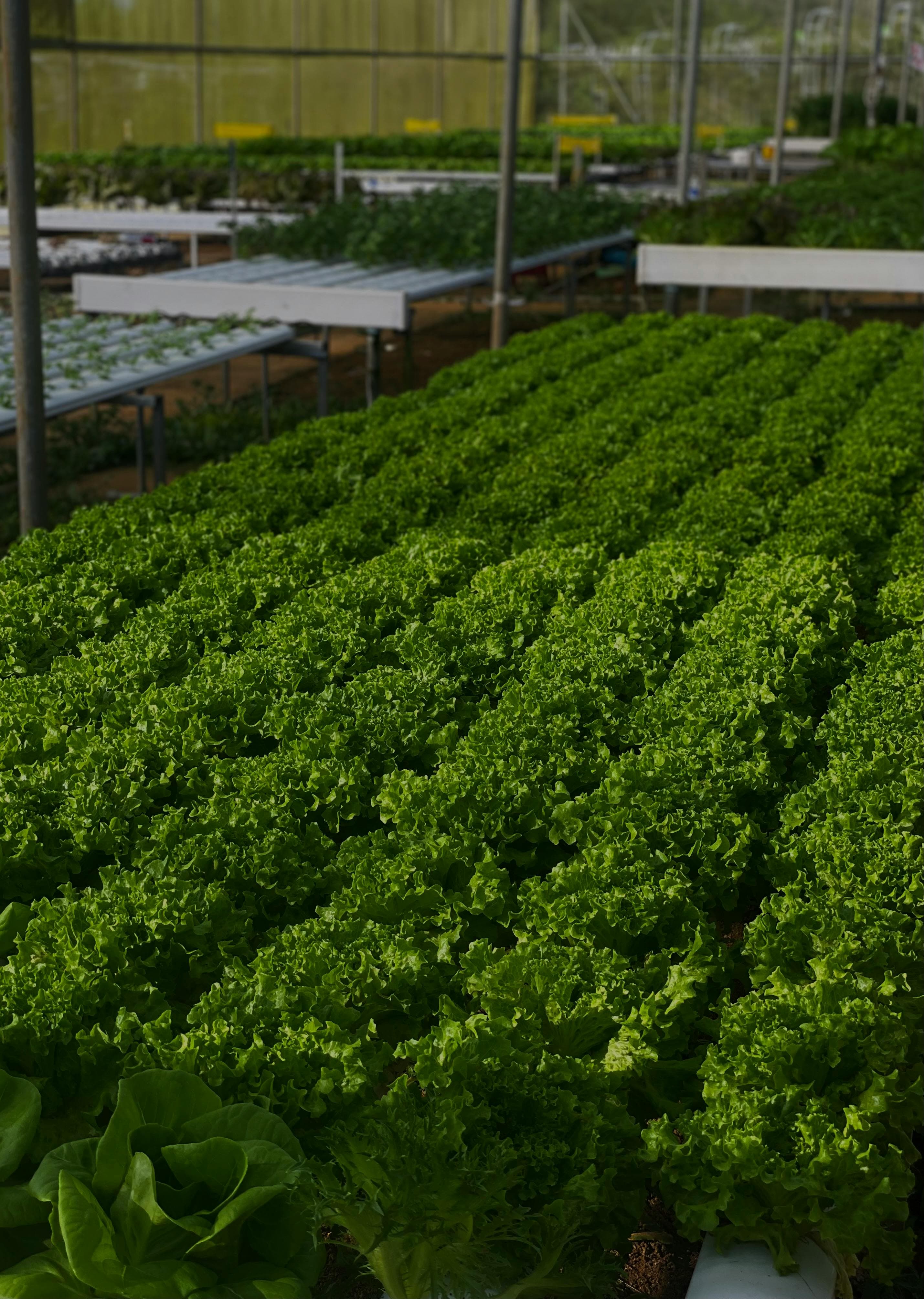 Farming as a Service