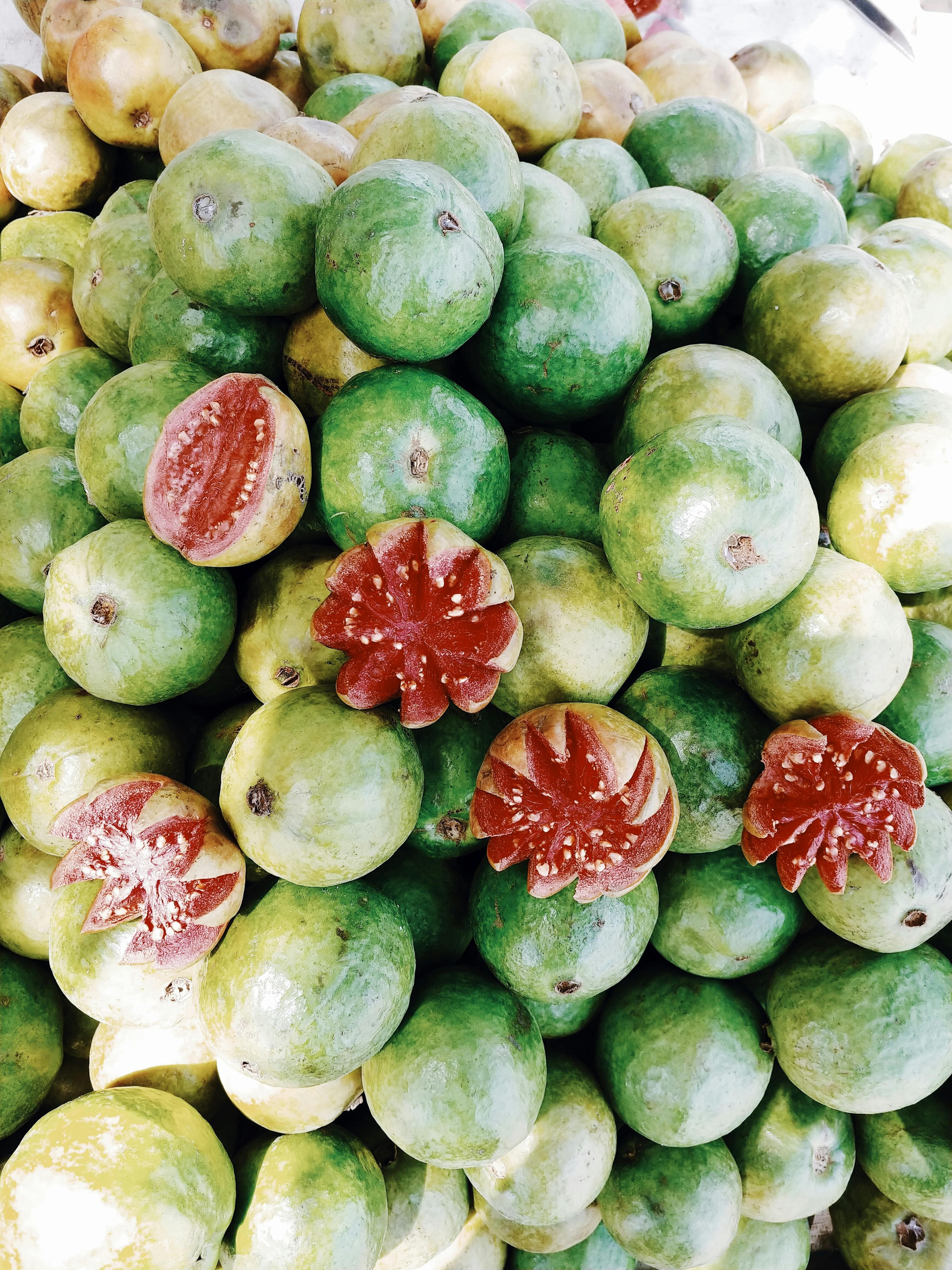Guava Seedlings